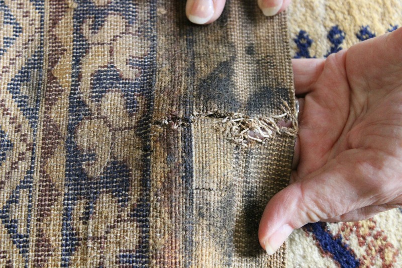 Water Damaged Area Rugs? Here’s What You Need to Do…